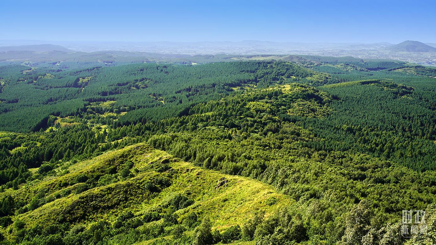 △ 塞罕坝林场。（总台央广记者潘毅拍摄）