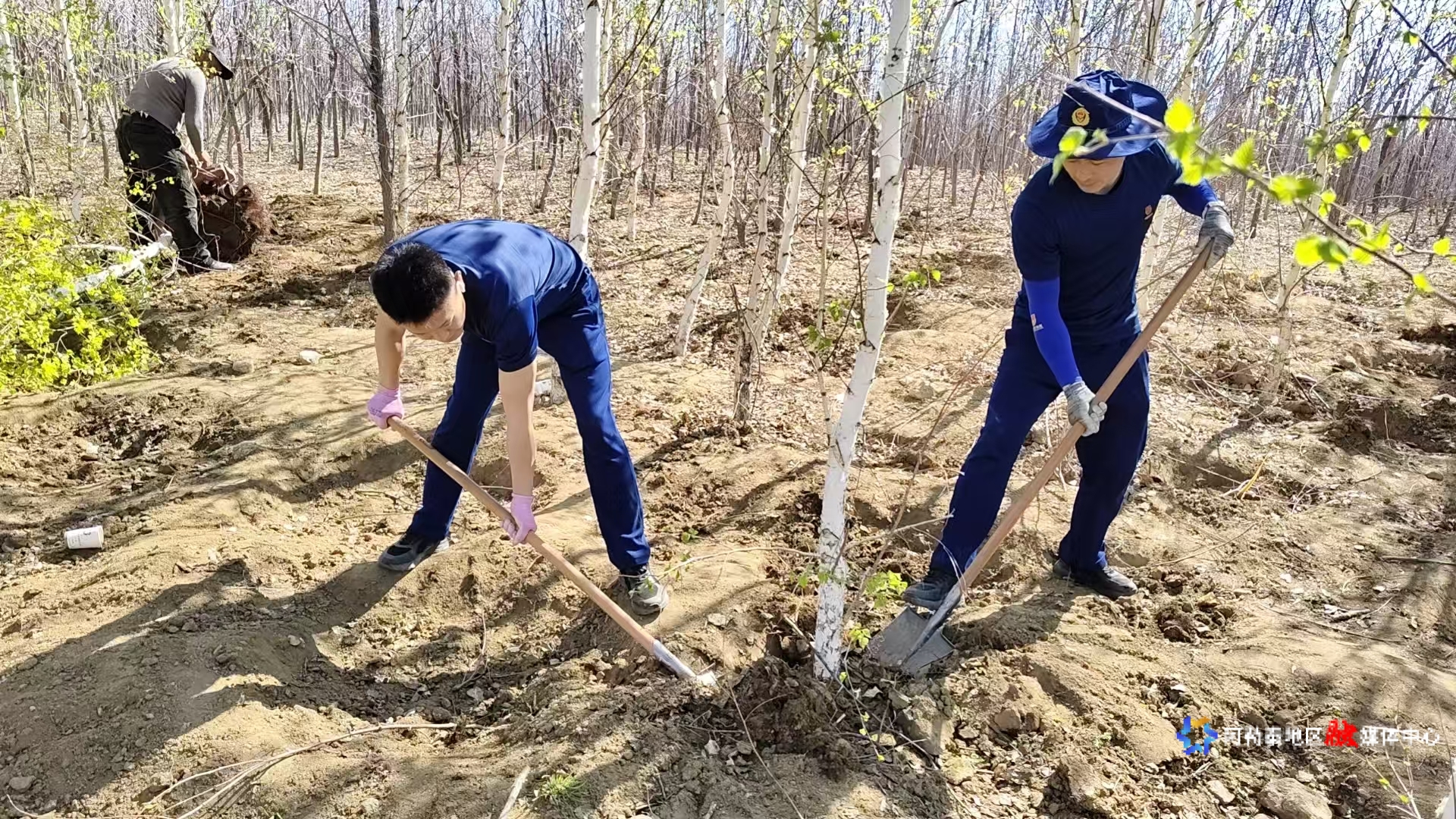 mmexport1745555081314