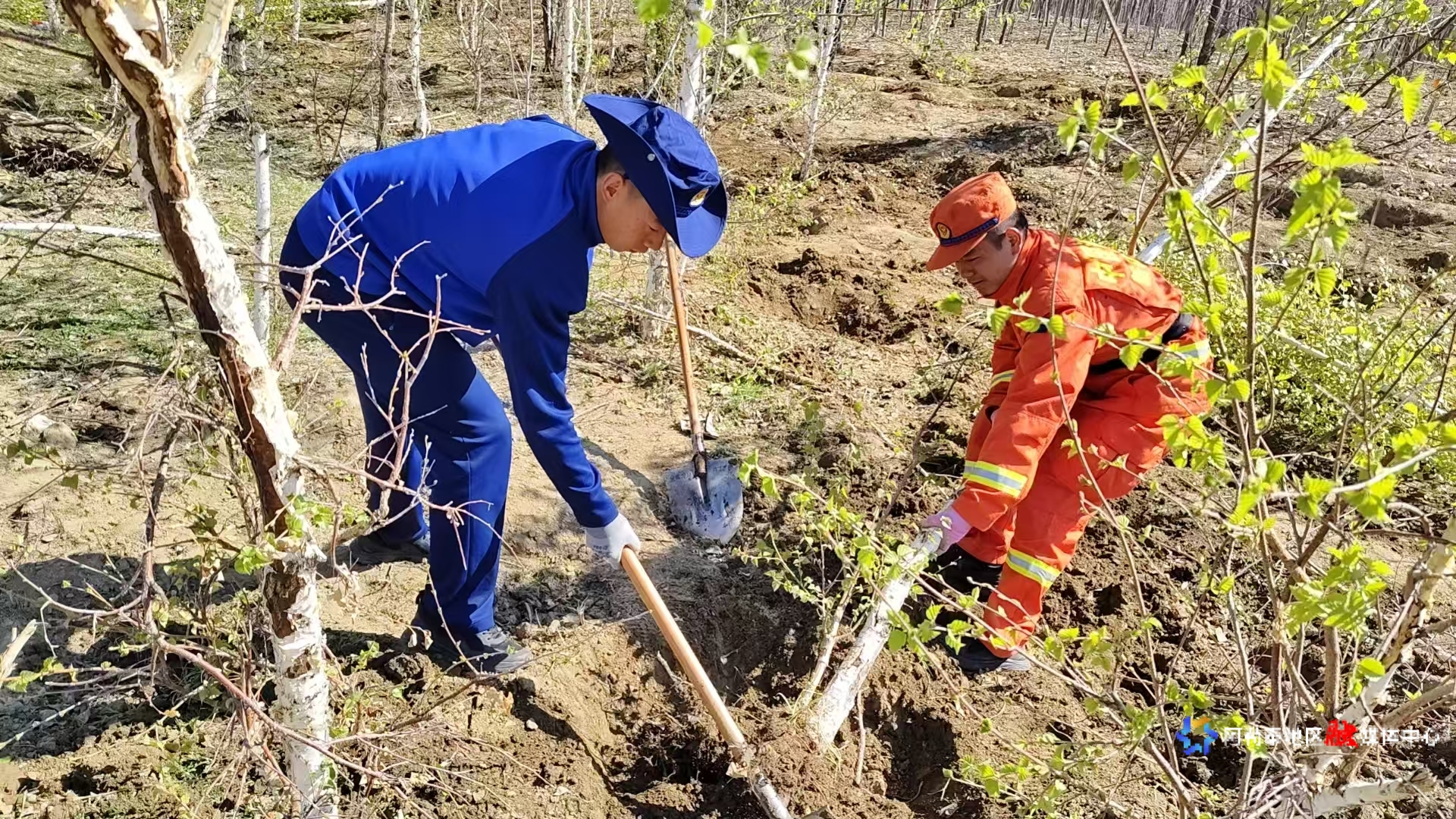 mmexport1745555076827