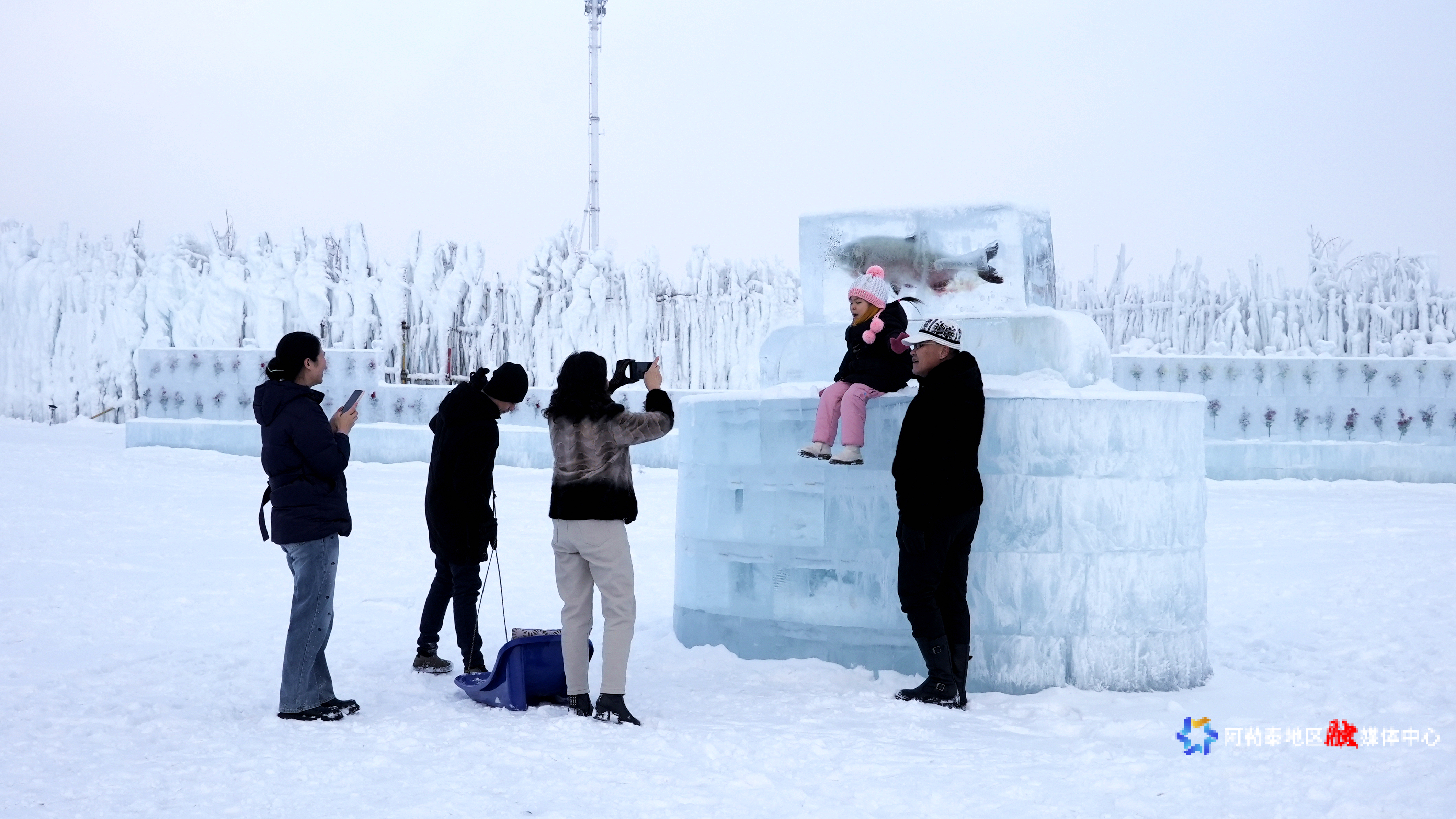 Image_1770955966212_484